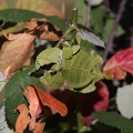 2014-09-20 @11-17-34