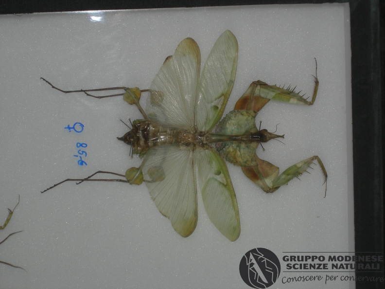 DSCN3648.JPG