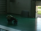 DSCN5250