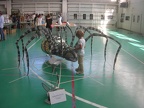DSCN5334