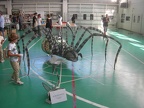 DSCN5335
