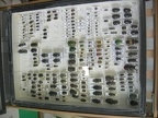 DSCN5338