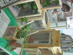 DSCN5339