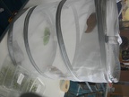 DSCN5345