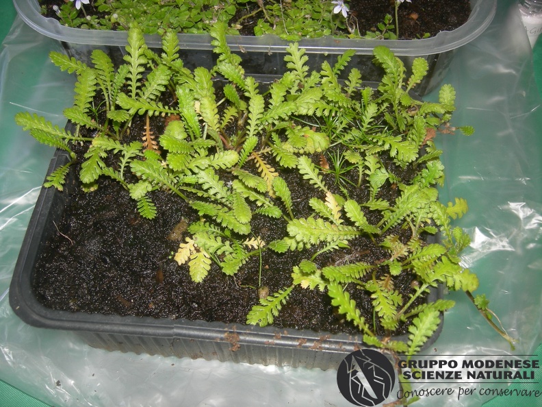 DSCN5351.JPG