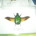 DSCN5379
