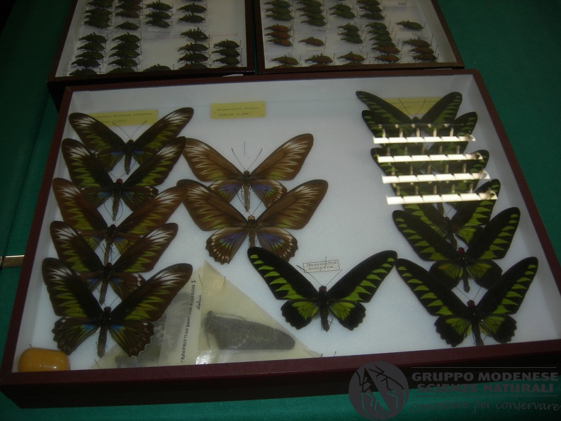 DSCN3755.JPG