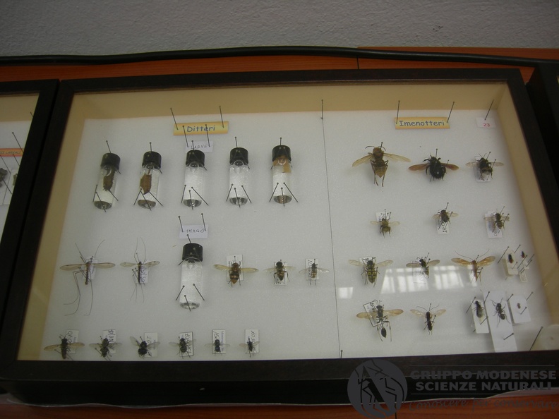 DSCN3759.JPG