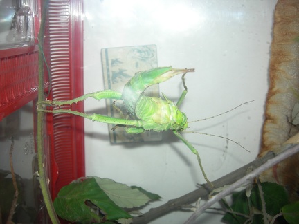 DSCN4707
