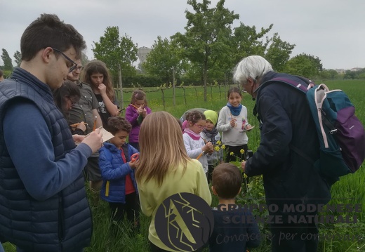 Bioblitz Alla Resistenza – Naturalista Per Un Giorno