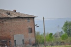 Bioblitz 2020 #iorestoacasa - Bianconi Giorgia - BB2020-38